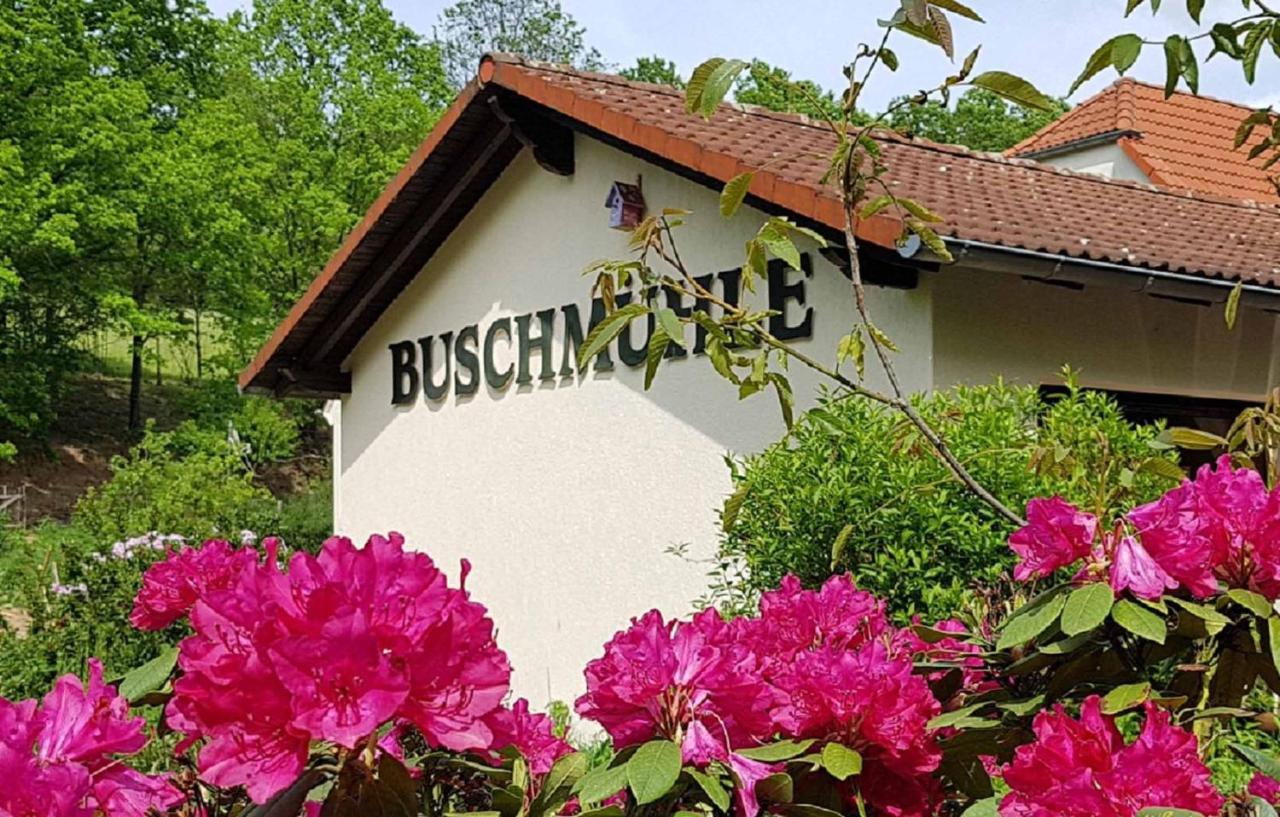 Konigsfeld Biohof Buschmuehleアパートメント エクステリア 写真